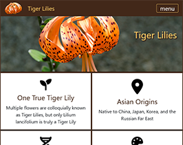 screenshot of Tiger Lily page